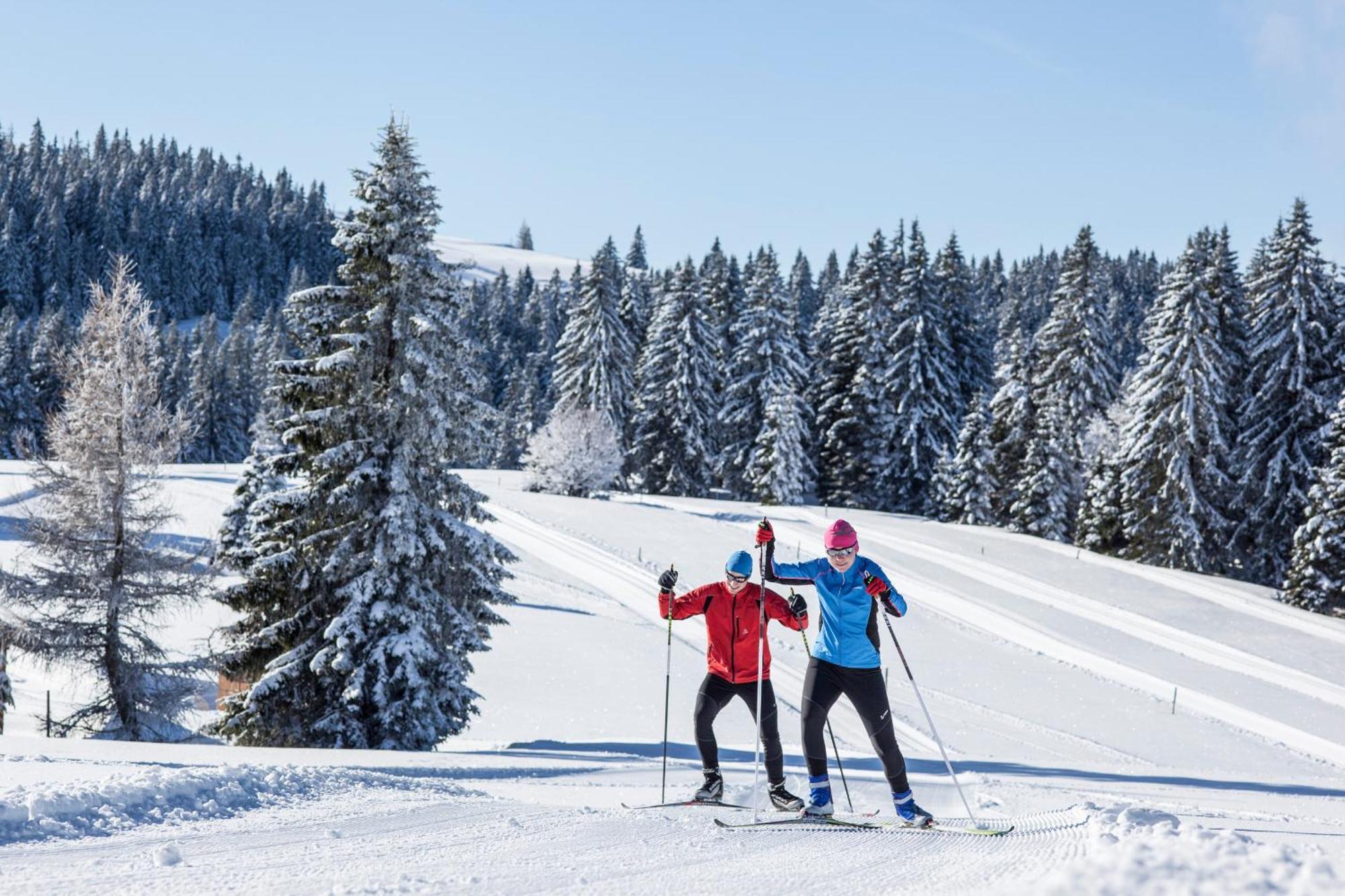 Ferienwohnung Seeblick Nr 5, 2 Zi-Baerental, Feldberg Rotwasser Exteriör bild