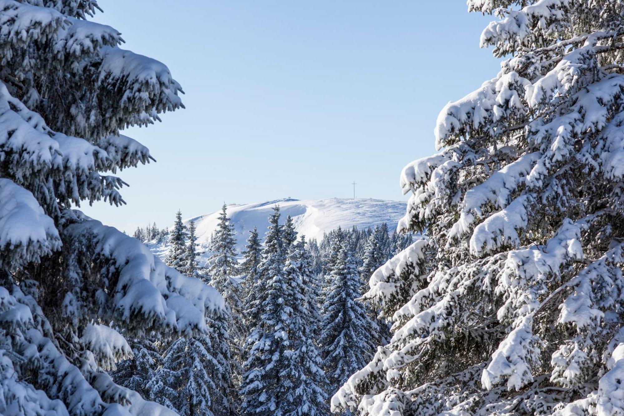 Ferienwohnung Seeblick Nr 5, 2 Zi-Baerental, Feldberg Rotwasser Exteriör bild